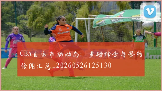 CBA自由市场动态:重磅转会与签约传闻汇总_20260526125130