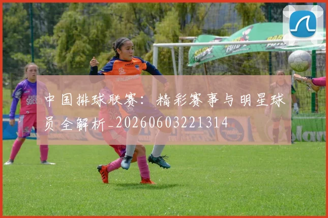中国排球联赛：精彩赛事与明星球员全解析_20260603221314